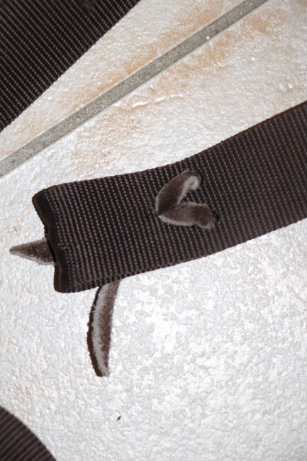 Tie Strap für Westernsattelgurt, Sabse, Girths & Cinches, Goch, Image 3