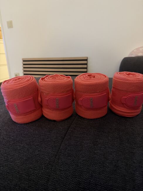 Bandagen Eskadron Lachsfarbend, Eskadron , Sara-Charlotte Zucht, Bandagen & Unterlagen, Wedel