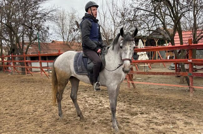 Barbie Zu verkaufen., Jozsef, Pferd kaufen, Békés