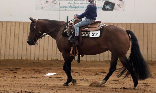 sehr feine und brave Quarter Horse Stute, Kerstin Rehbehn (Pferdemarketing Ost), Konie na sprzedaż, Nienburg, Image 5