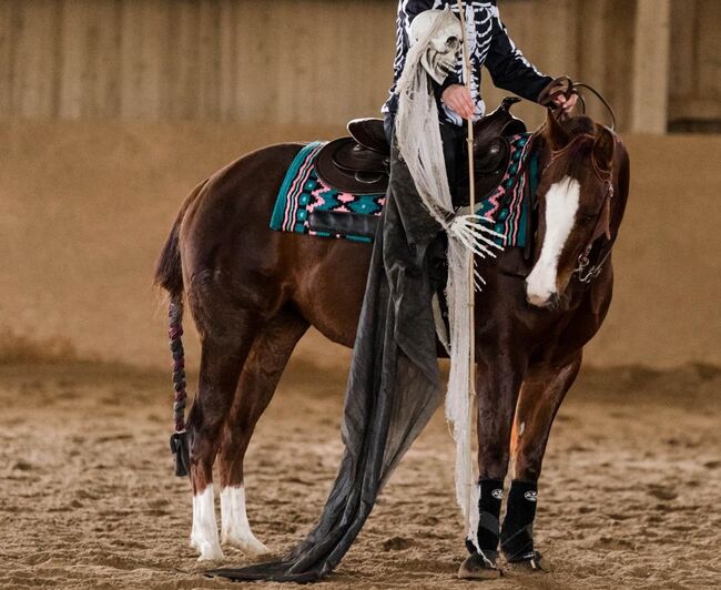 sehr coole und talentierte Paint Horse Stute, Kerstin Rehbehn (Pferdemarketing Ost), Konie na sprzedaż, Nienburg, Image 14