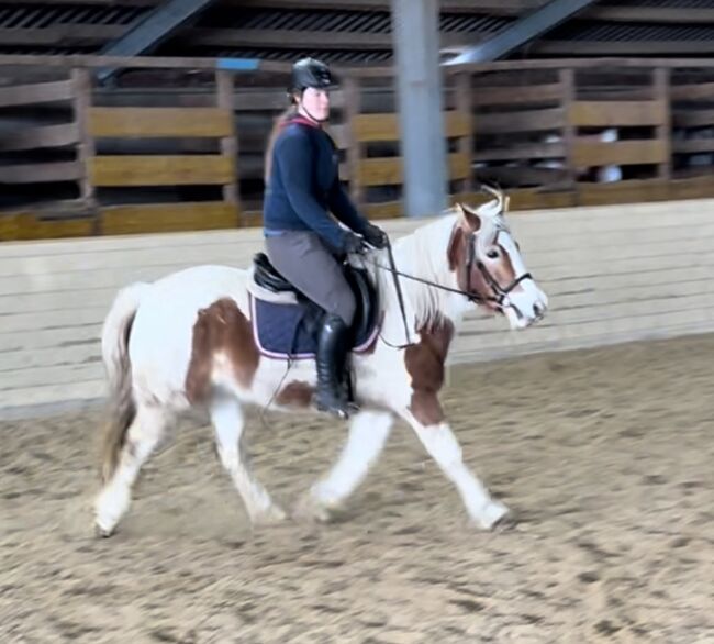 Ganz liebe Stute! ❤️🐴😍👍, Pferdeglück, Konie na sprzedaż, Pelmberg, Image 5