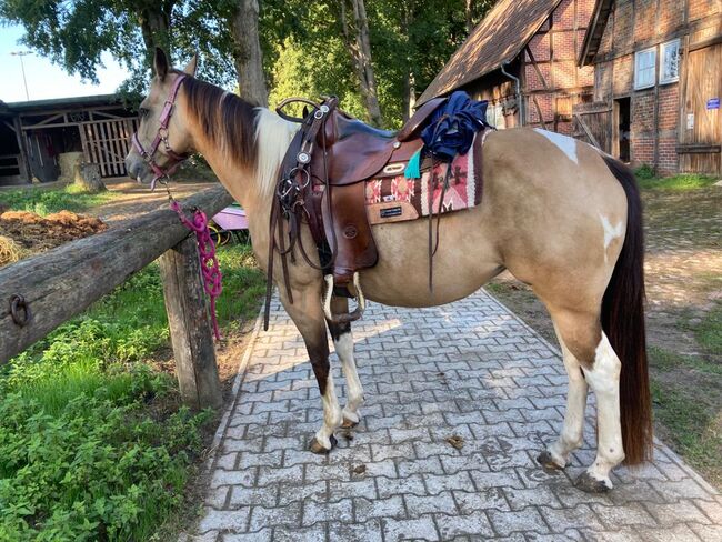 Bildhübsche, kräftige Paint Horse Stute in toller Farbe, Kerstin Rehbehn (Pferdemarketing Ost), Konie na sprzedaż, Nienburg