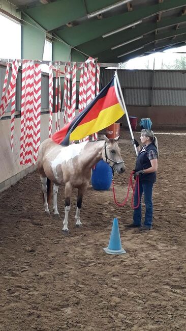 Bildhübsche, kräftige Paint Horse Stute in toller Farbe, Kerstin Rehbehn (Pferdemarketing Ost), Konie na sprzedaż, Nienburg, Image 4