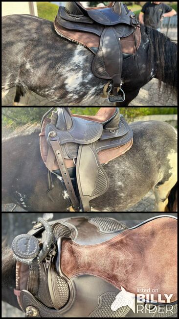 Barefoot Arizona-Nut, Gr.2 zu verkaufen, Barefoot Arizona Nut, Carmen Simon, Treeless Saddle, Alzenau, Image 4