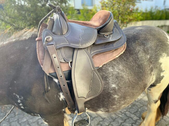 Barefoot Arizona-Nut, Gr.2 zu verkaufen, Barefoot Arizona Nut, Carmen Simon, Treeless Saddle, Alzenau, Image 3