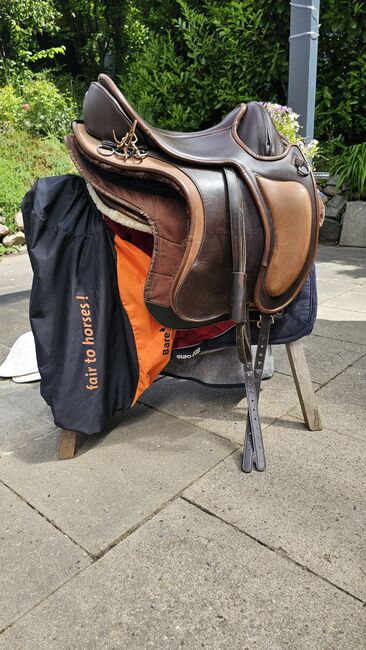 Barefoot  Barrydale Gr.2, Barefoot  Barrydale , Anja Hamester , Treeless Saddle, Escheburg , Image 2