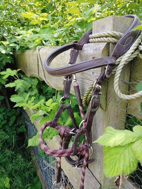 Barefoot Kopfstück "Syringa", braun-bordeaux, Größe "Cob", Barefoot Syringa, F. Schatz, Bitless Bridles, Langenhorn, Image 4