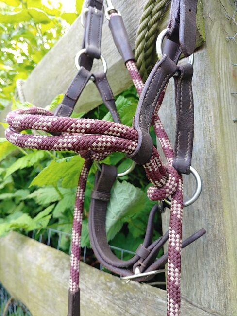 Barefoot Kopfstück "Syringa", braun-bordeaux, Größe "Cob", Barefoot Syringa, F. Schatz, Bitless Bridles, Langenhorn, Image 2