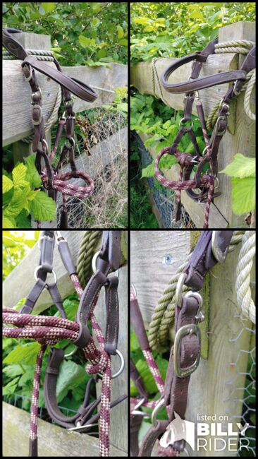 Barefoot Kopfstück "Syringa", braun-bordeaux, Größe "Cob", Barefoot Syringa, F. Schatz, Bitless Bridles, Langenhorn, Image 5