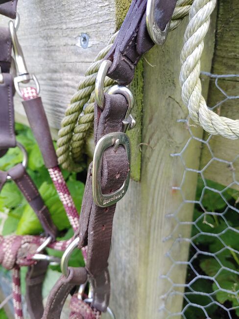 Barefoot Kopfstück "Syringa", braun-bordeaux, Größe "Cob", Barefoot Syringa, F. Schatz, Bitless Bridles, Langenhorn, Image 3