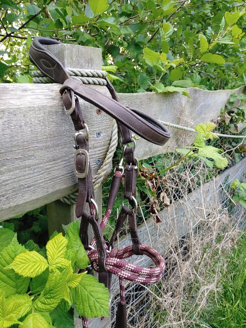 Barefoot Kopfstück "Syringa", braun-bordeaux, Größe "Cob", Barefoot Syringa, F. Schatz, Gebisslose Zäumungen, Langenhorn