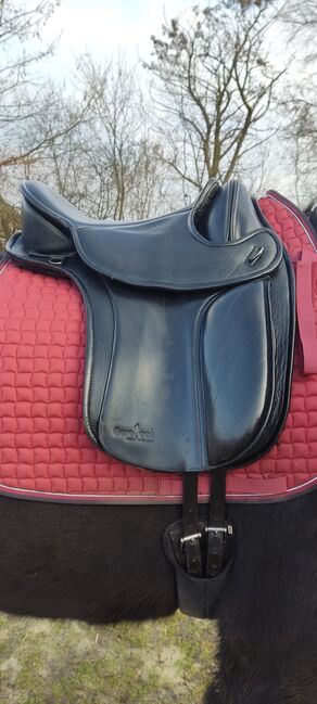 Barefoot London Sattel Baumlos Größe 1 VPS, Barefoot  London , Mel , Treeless Saddle, Olfen