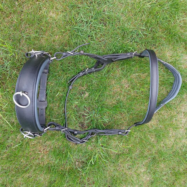 BAREFOOT Shape it Cavesson & Contour Physio Kopstück Größe Warmblut WB, BAREFOOT  Shape ist Cavesson / Contour Physio Kopstück , Nicole , Sonstiges, Norderstedt