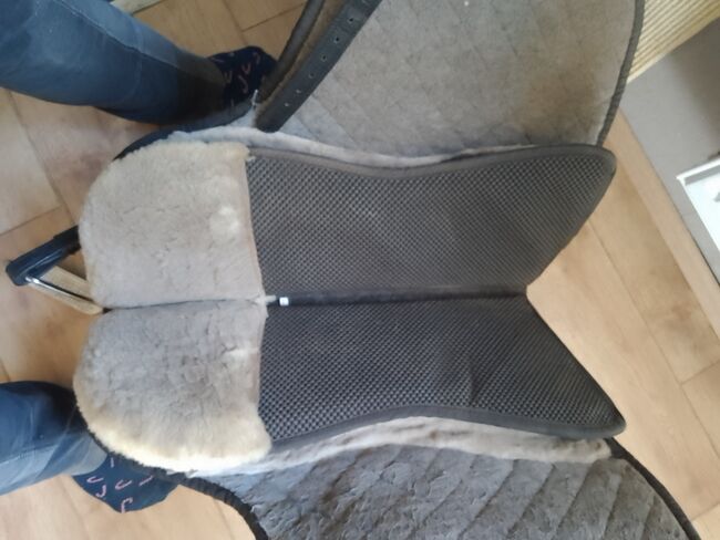 Barfoot Barrydale Gr 2 BJ 2015, Barefoot Barrydale , Zora, Treeless Saddle, Neubörger, Image 8