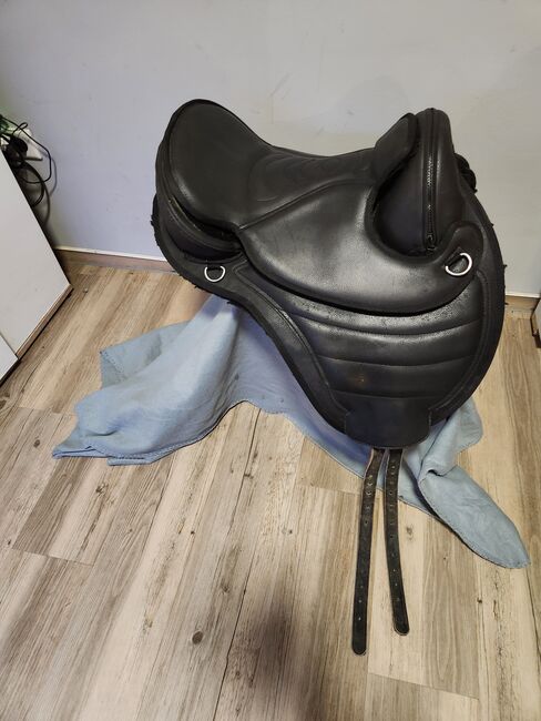 Barefoot Cheyenne, Barefoot , Maus , Other Saddle, Friedeburg , Image 7
