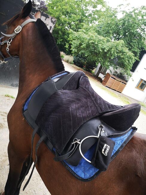 Barefoot Madrid Gr. 1, Barefoot Madrid, S. Hellmuth, Other Saddle, Düsseldorf, Image 6