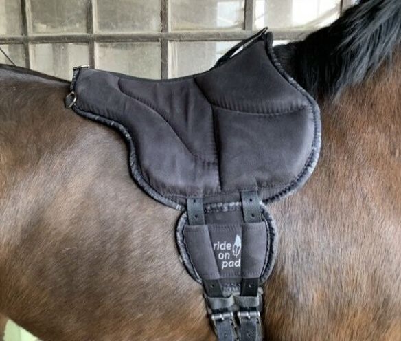 Barefoot Pad Pony, Barefoot  Bareback Ride On Pad , Antonia , Other Pads, Limburg 