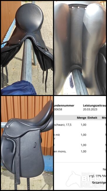 Schnäppchen: Sattel mit Steigbügelriemen, Sattelglück  Sunny, Rudi, All Purpose Saddle, Schliengen , Image 5