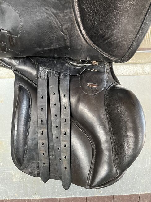 Barnsley iTree 17.5 Saddle, Barnsbey ITree GP, Chloe , All Purpose Saddle, Towcester , Image 7