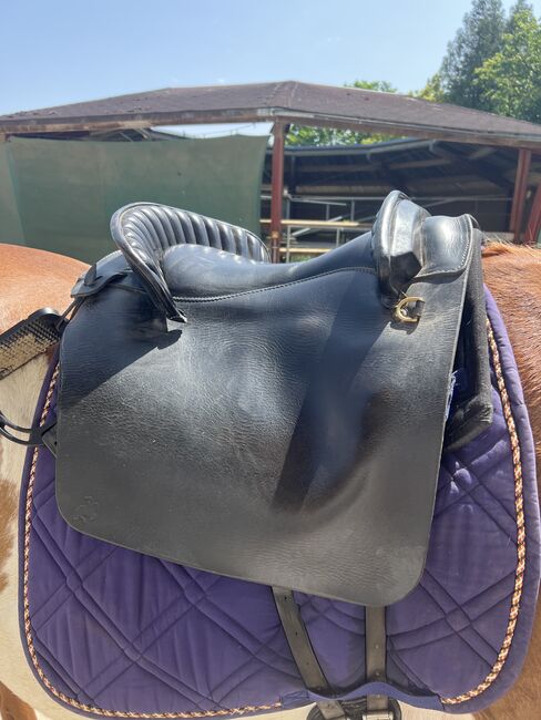 Barocksattel von Deuber, Deuber und Partner , Daniela, Baroque Saddle, Waakirchen, Image 4
