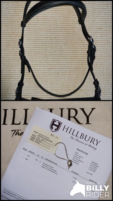 Barockzaum von Hillbury, Hillbury  Esmeralda , Sibylle , Nosebands, Mühledorf , Image 3
