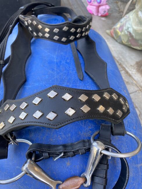 Barocktrense mit Vorderzeug Gr Wb, Christine Leicht , Bridles & Headstalls, Bischberg