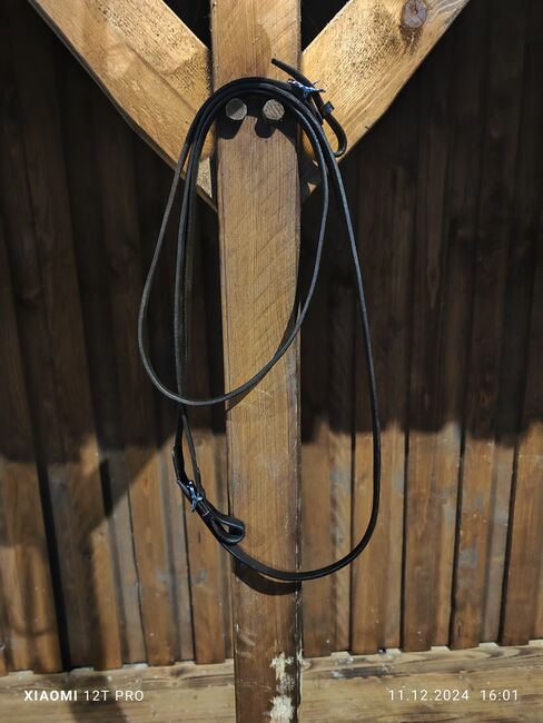 Barocktrense Hillbury Calvero Araber/Pony, Hillbury  Calvero , Nina Gärthöffner , Bridles & Headstalls, Rheine, Image 3