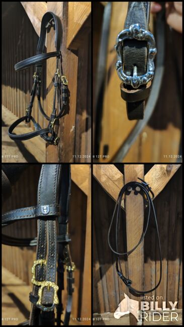 Barocktrense Hillbury Calvero Araber/Pony, Hillbury  Calvero , Nina Gärthöffner , Bridles & Headstalls, Rheine, Image 5