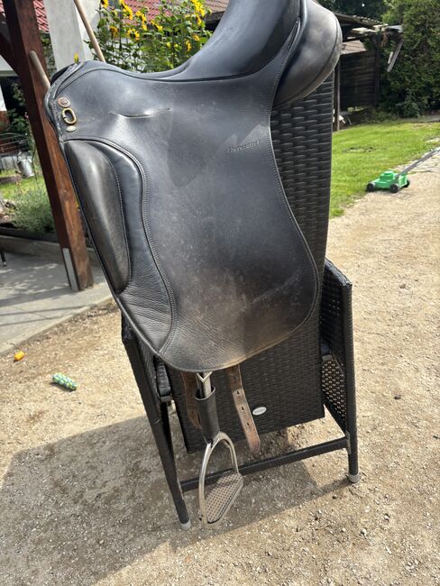Barocksattel Sommer, Sommer, Schanzenberg Maike, Baroque Saddle, Groß Miltzow, Image 7