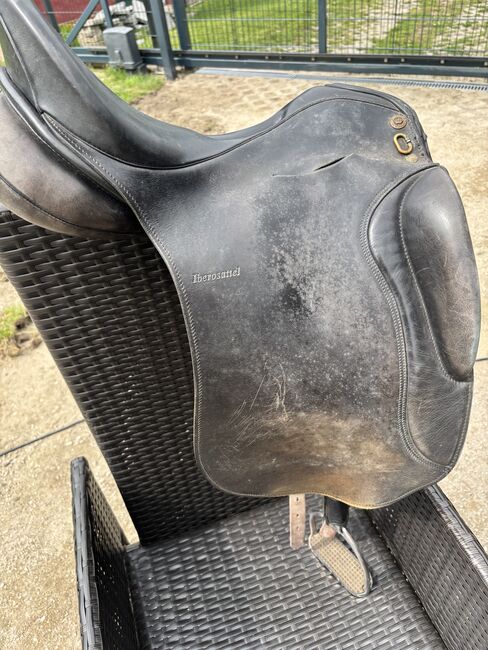 Barocksattel Sommer, Sommer, Schanzenberg Maike, Baroque Saddle, Groß Miltzow, Image 6