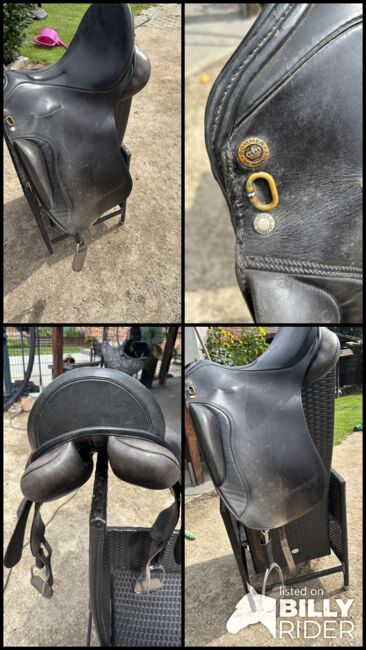 Barocksattel Sommer, Sommer, Schanzenberg Maike, Baroque Saddle, Groß Miltzow, Image 8