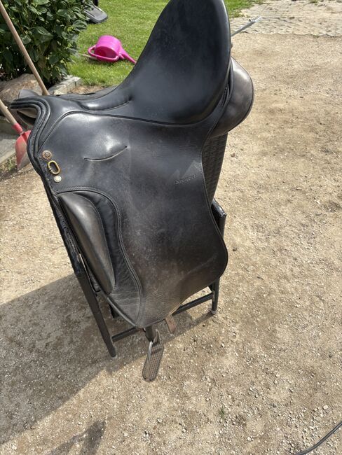 Barocksattel Sommer, Sommer, Schanzenberg Maike, Baroque Saddle, Groß Miltzow