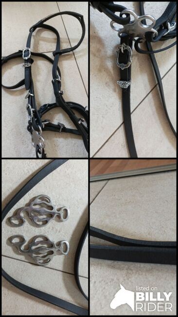 Barock Trense Sidepull Hackamore, Groskorth Barock, Nadine, Bitless Bridles, Rullstorf, Image 9