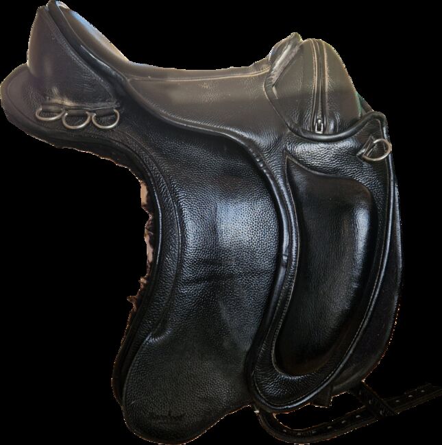 BAREFOOD BARRYDALE, Barefood  Barrydale , Carolin , Treeless Saddle, Ketzin