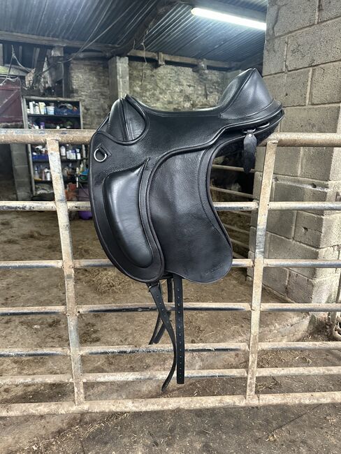 Barrydale PRO, Barefoot  Barrydale PRO, Wendy Morris, Treeless Saddle, Croesyceiliog