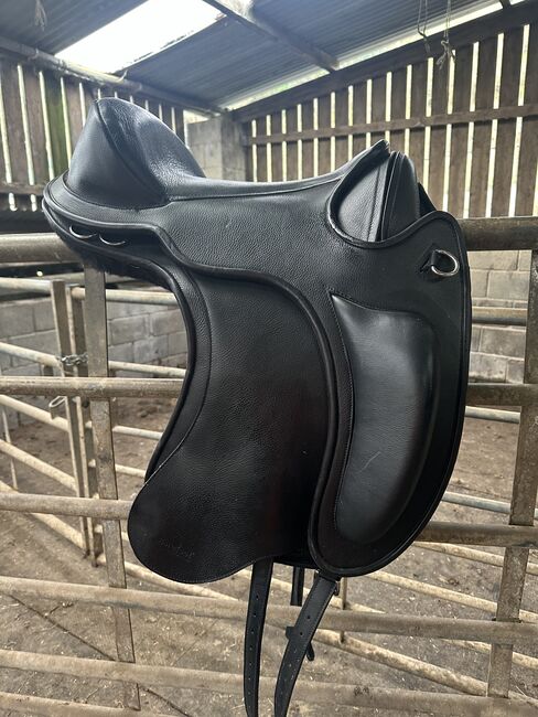 Barrydale PRO, Barefoot  Barrydale PRO, Wendy Morris, Treeless Saddle, Croesyceiliog, Image 2