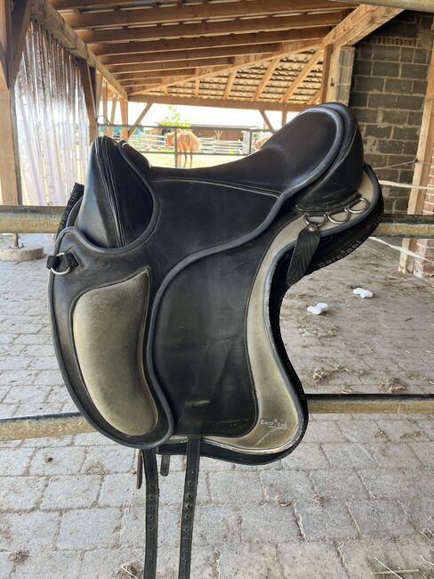 Barefoot Barrydale Sattel, Barefoot Barrydale , ex, Treeless Saddle, Flammersfeld 