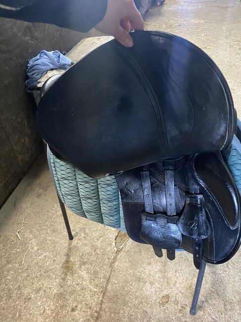 Bates GP leather saddle 17.5” black, Bates  Square Cantle GP , Evelyn Cameron, All Purpose Saddle, Tranent , Image 6