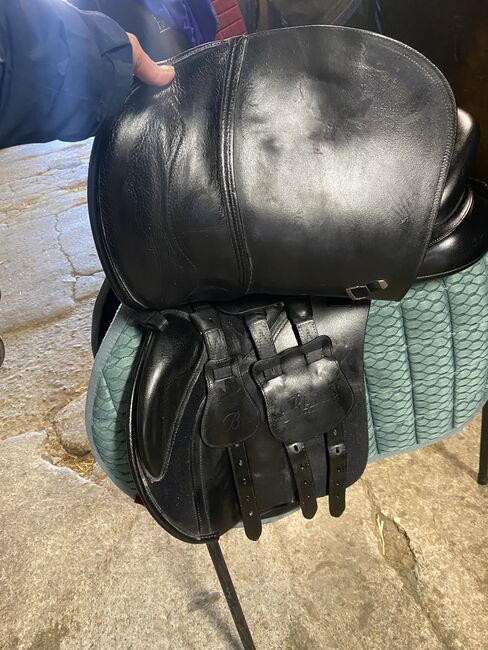 Bates GP leather saddle 17.5” black, Bates  Square Cantle GP , Evelyn Cameron, All Purpose Saddle, Tranent , Image 5