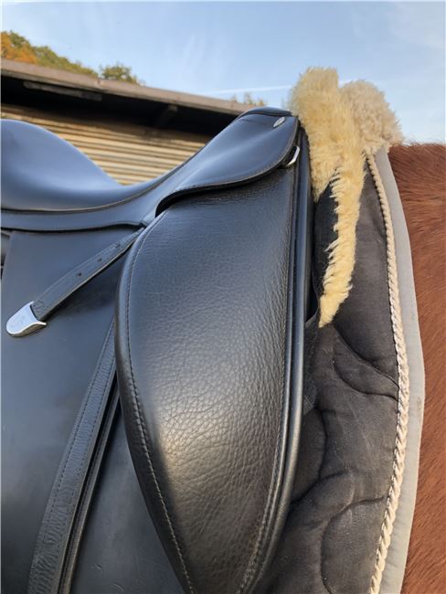 Bates Innova Dressursattel 16,5 - 17 Zoll, Bates Innova Dressursattel, Lehmann, Dressage Saddle, Grove, Image 3