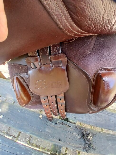 Bates Saddle, Bates Jumping , Ann Wilson, Jumping Saddle, Llandysul, Image 3