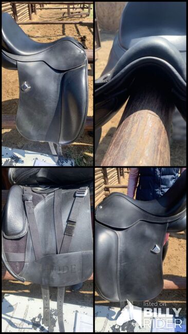 Bates Wide Dressage Hart Saddle, Bates Wide Hart Dressage saddle, Cobie, Dressage Saddle, Moreletapark , Image 8
