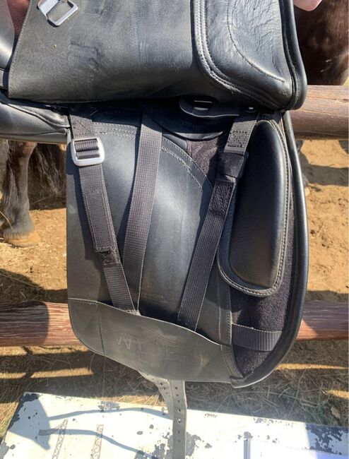 Bates Wide Dressage Hart Saddle, Bates Wide Hart Dressage saddle, Cobie, Dressage Saddle, Moreletapark , Image 7