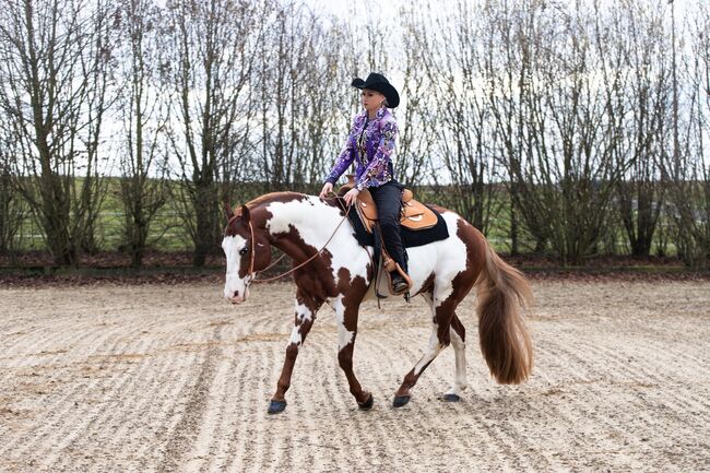 Wunderschöne 2 jährige QH/PH Stute zu verkaufen, Johanna Rohwer , Horses For Sale, Herborn , Image 13
