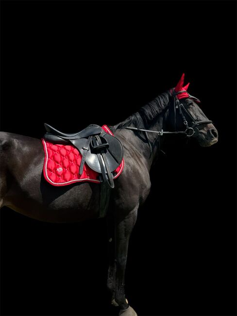 Beautiful custom Crimson Red set, Angel Equine , Abbey, Other Pads, Pretoria , Image 4
