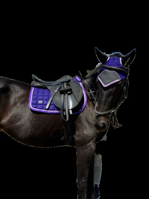 Beautiful dark purple numnah and ear bonnet set, Angel Equine , Abbey, Other Pads, Pretoria , Image 4