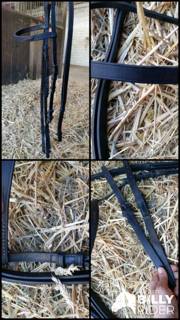 Beautiful handmade bridle (black), Melissa, Bridles & Headstalls, Coventry, Image 8