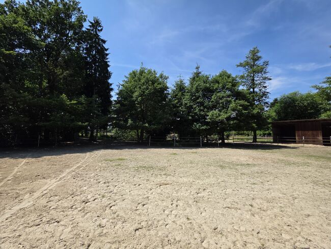 Wunderschönes Anwesen für Pferdeliebhaber, Anna, Equestrian Properties, Oyten, Image 2