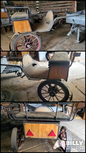 Schöner Sulky, Roman, Carriages, Degen, Image 4